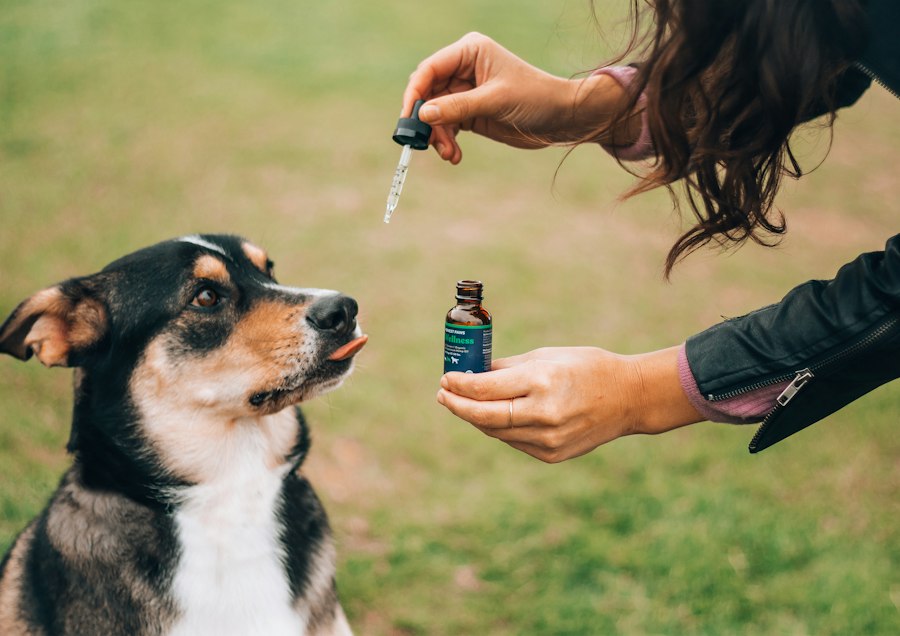 vape device